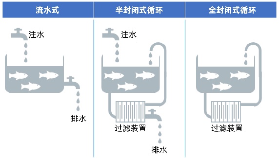 陆基养殖现场